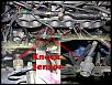 Click image for larger version

Name:	DriverSideConnectors_Knock.jpg
Views:	2003
Size:	185.9 KB
ID:	2375